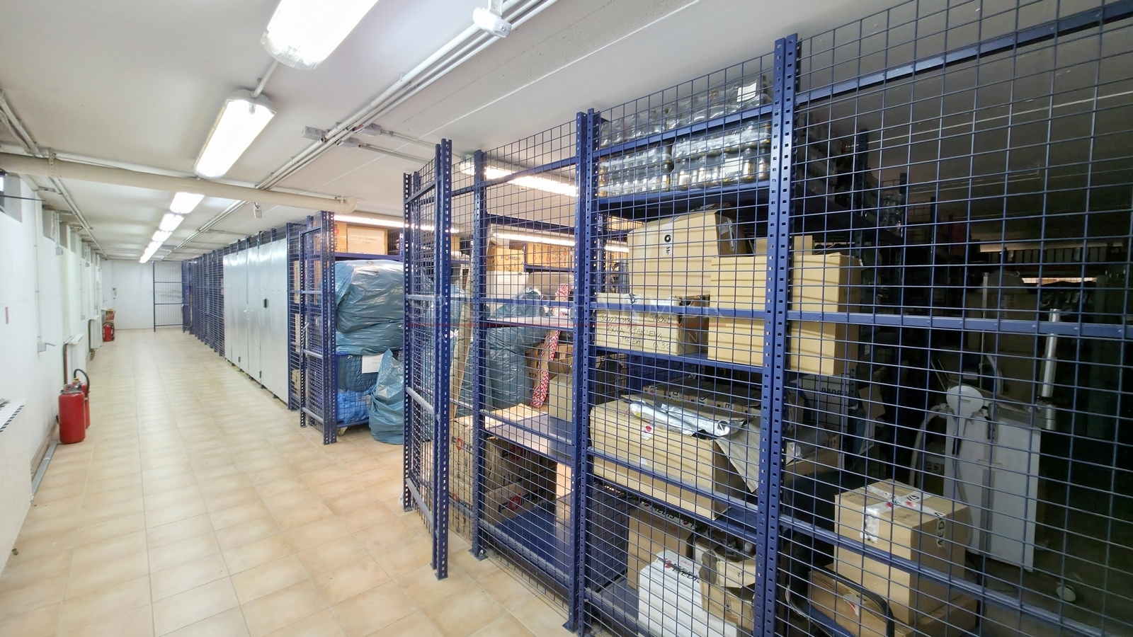 A descriptive alt text