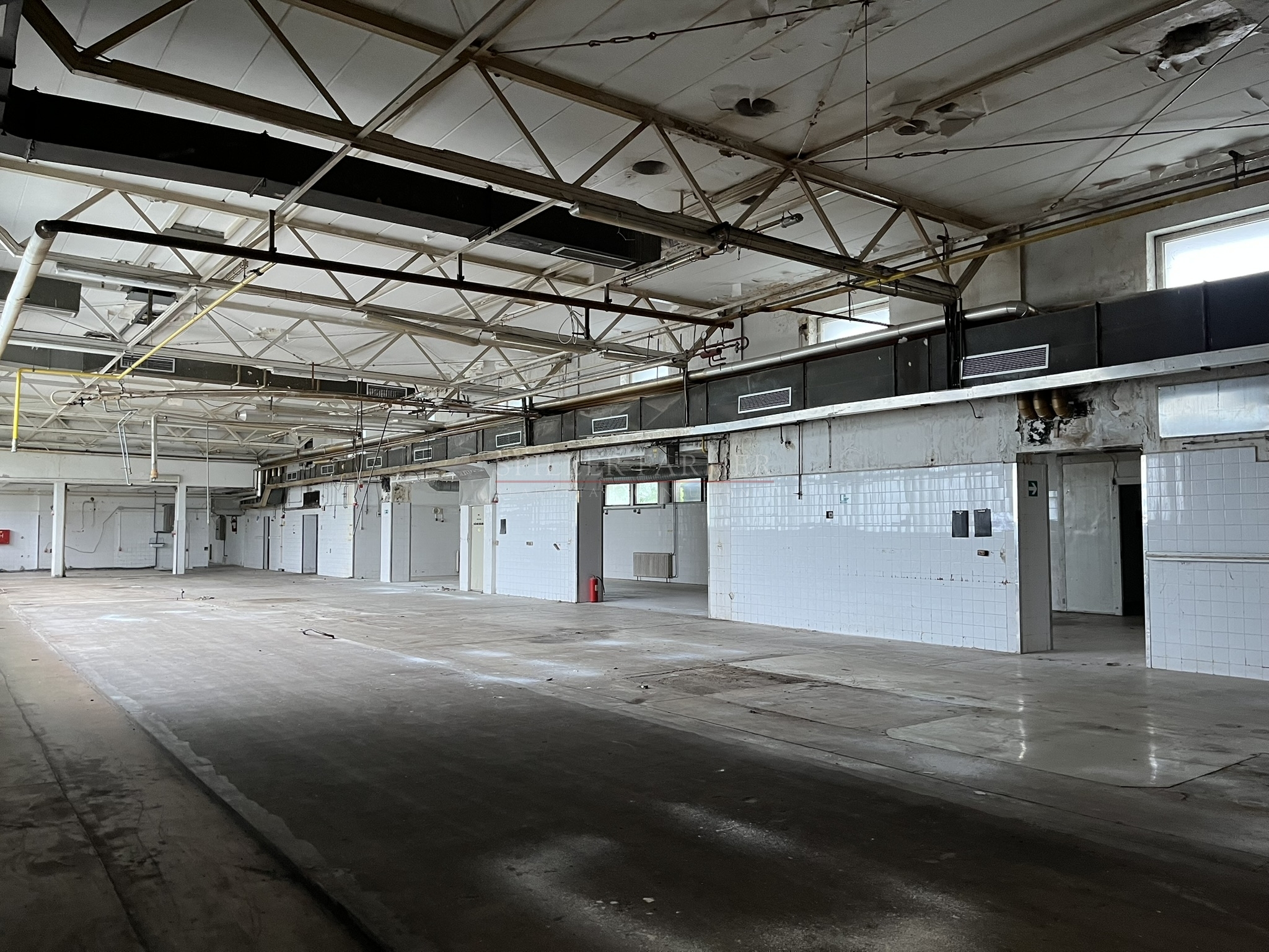 A descriptive alt text